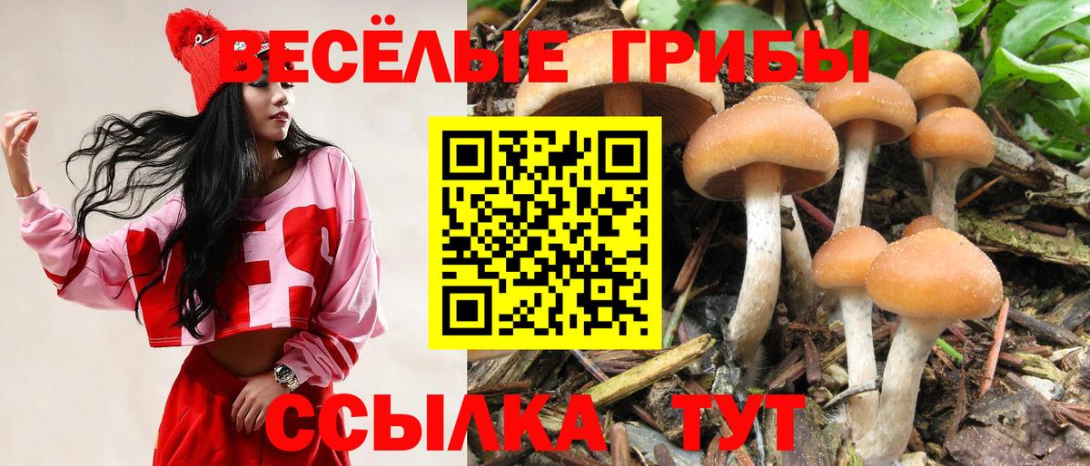 Урай  Псилоцибиновые грибы мицелий  Вход с VPN 