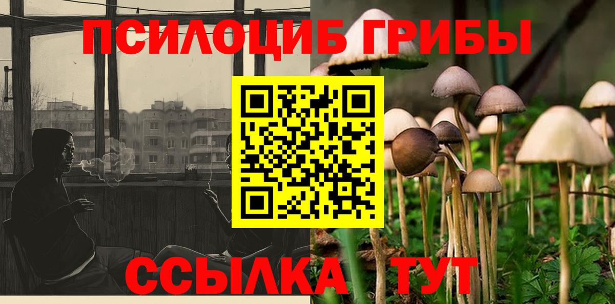 Псилоцибиновые грибы GOLDEN TEACHER Урай